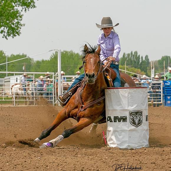 Meet your Posher, Darby - Picture 1 of 1